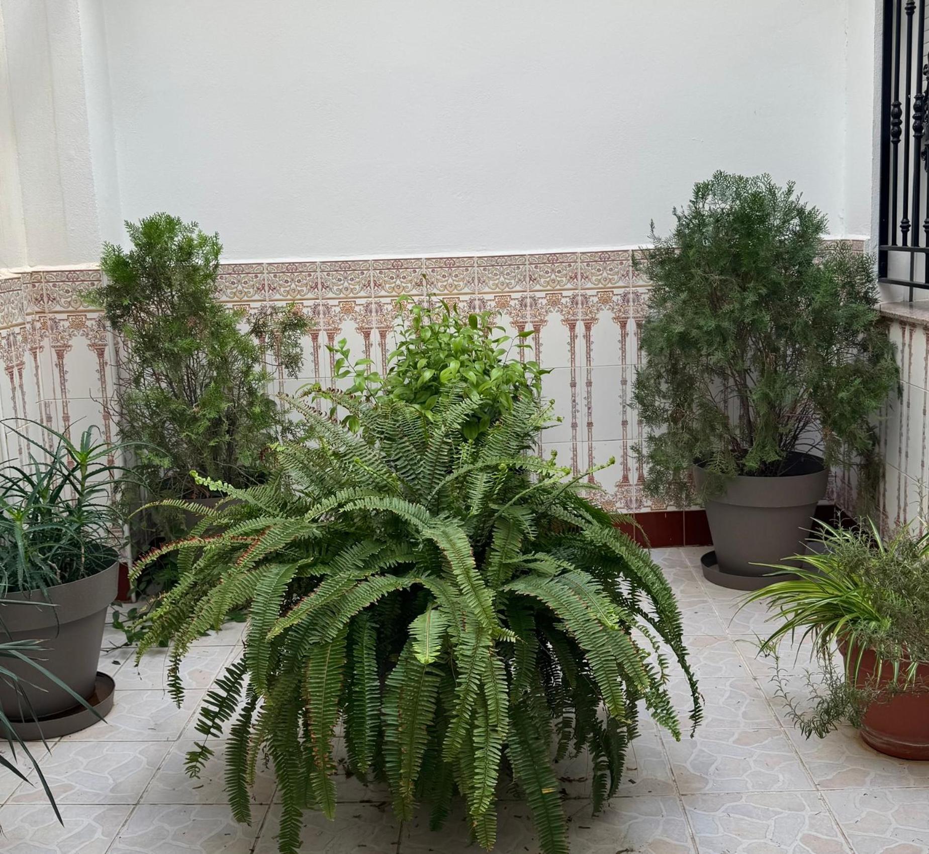 Hotel Ciudad Pozo Alcón Dış mekan fotoğraf